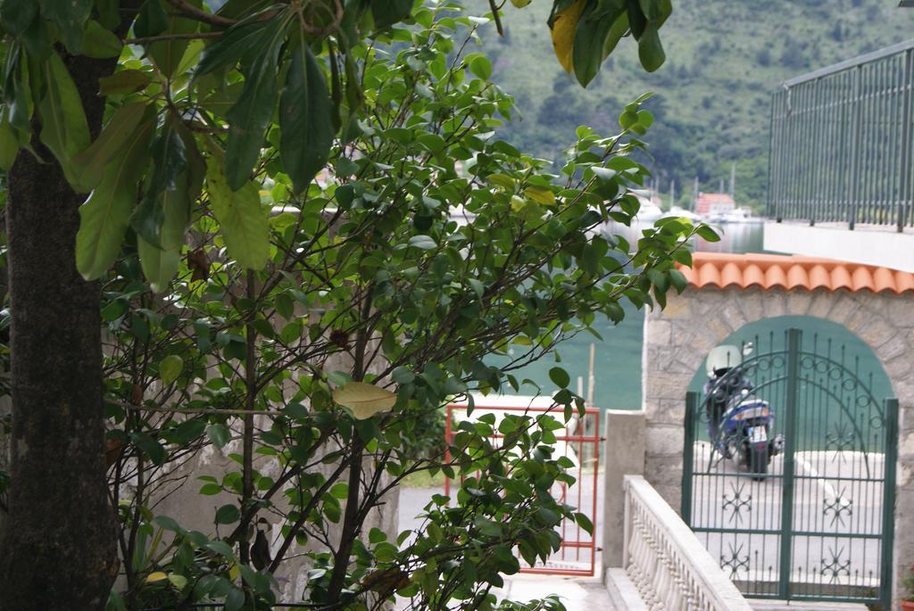 Apartment Kotor-Andrija Jovanovic Szoba fotó